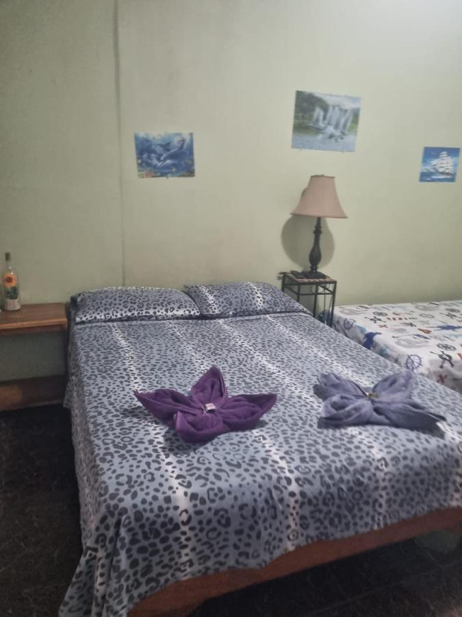 Hotel Paradise Alajuela Río Segundo Екстериор снимка