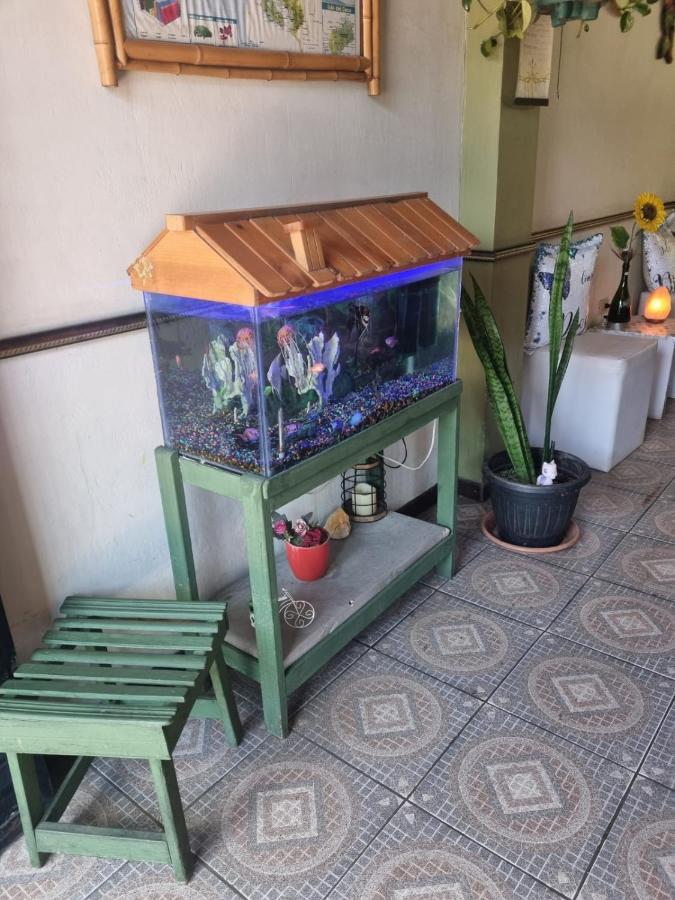 Hotel Paradise Alajuela Río Segundo Екстериор снимка